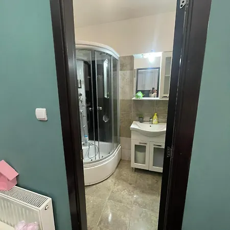 1 Bdrm In Old Town