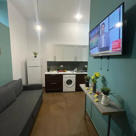 1 Bdrm In Old Town Apartment